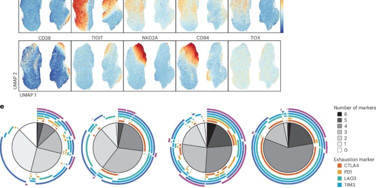 Failed CAR T cell trial could unlock multiple treatments for acute myeloid leukemia