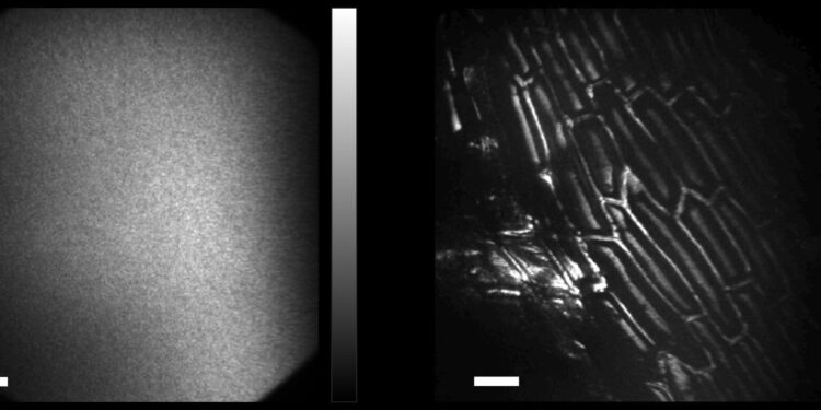 Fast, versatile solutions for complex imaging challenges