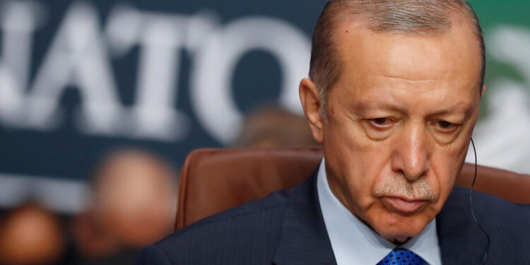 From the West to BRICS.. Efforts in Türkiye to enhance its economic position | economy