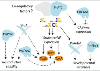 Genetic mechanism reveals key secret behind disease infection in crops