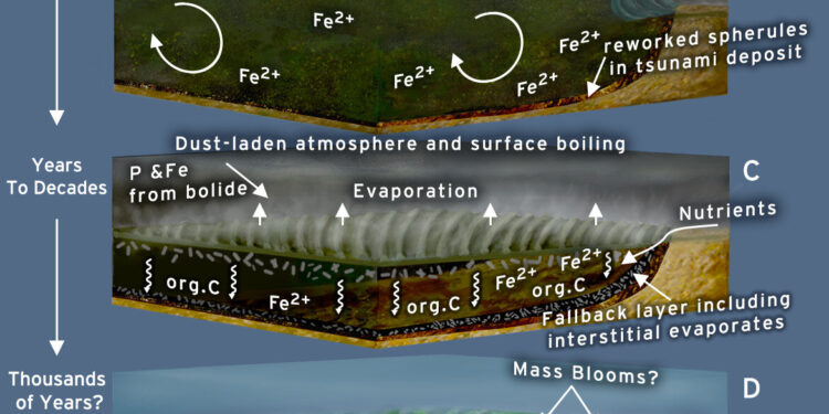 Giant meteorite impact 3.26 billion years ago may have contributed to the start of life