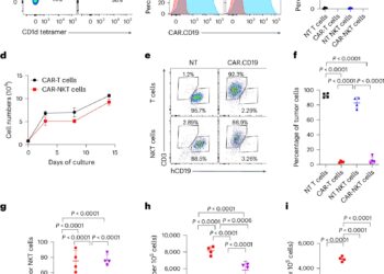 Harnessing natural killer T cells to advance cancer immunotherapy of solid tumors