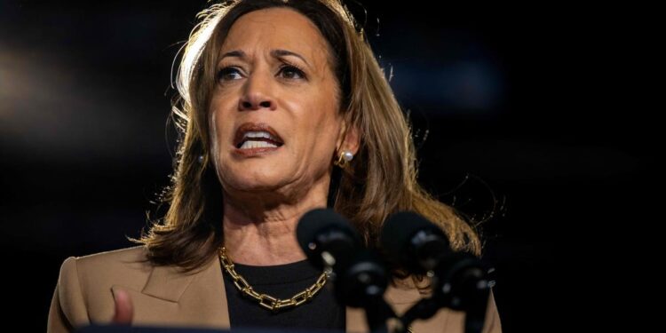 Harris on the cover of “Vogue”, which sees her as “the candidate for our times”