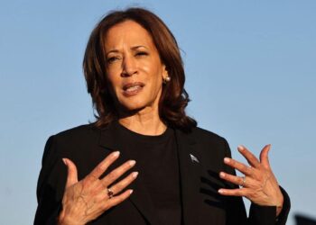 Harris says she wouldn’t meet Putin without Ukraine represented
