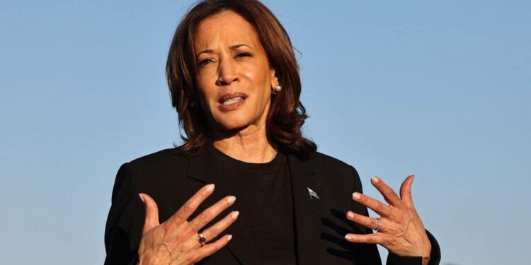 Harris says she wouldn’t meet Putin without Ukraine represented