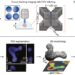Holotomography allows real-time observation of organoids