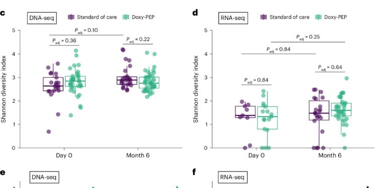 How Doxycycline for STI Prevention Affects the Gut Microbiome