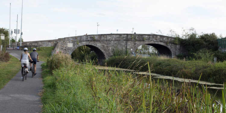 How a Tagged Equation Changed Mathematical History