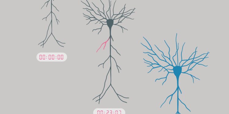 How neurons encode information on time scales that correspond to learning