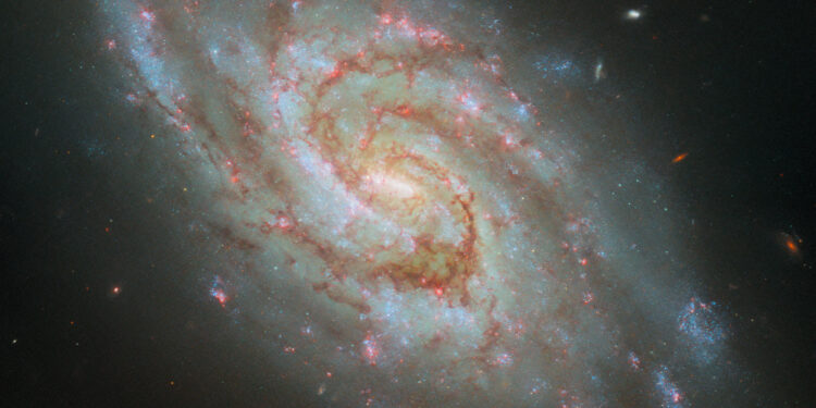 Hubble captures star nurseries in the majestic spiral galaxy IC 1954
