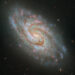 Hubble captures star nurseries in the majestic spiral galaxy IC 1954