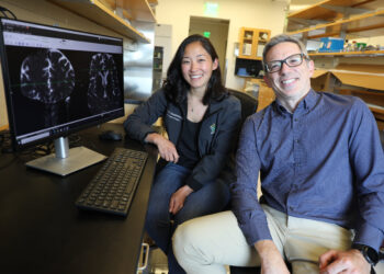 Imaging in neurosurgery patients reveals brain waste disposal pathways for first time