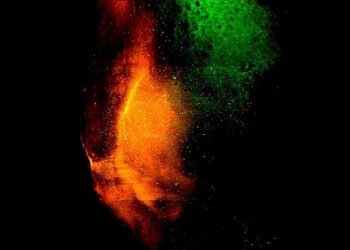 In new study, neuroscientists trigger shelter-seeking response by reactivating memory circuitry