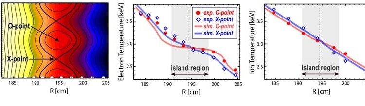 In the plasma of a fusion device, a strong ion temperature gradient slows the growth of magnetic islands