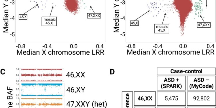 Increased risk of autism linked to Y chromosome, study finds