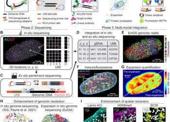 Innovation in in situ genome sequencing makes hidden DNA-protein interactions visible