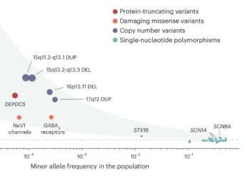 Largest-ever epilepsy genetic study uncovers possible therapeutic targets
