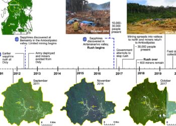 Madagascar mining rush hasn’t caused more deforestation than agriculture, study finds