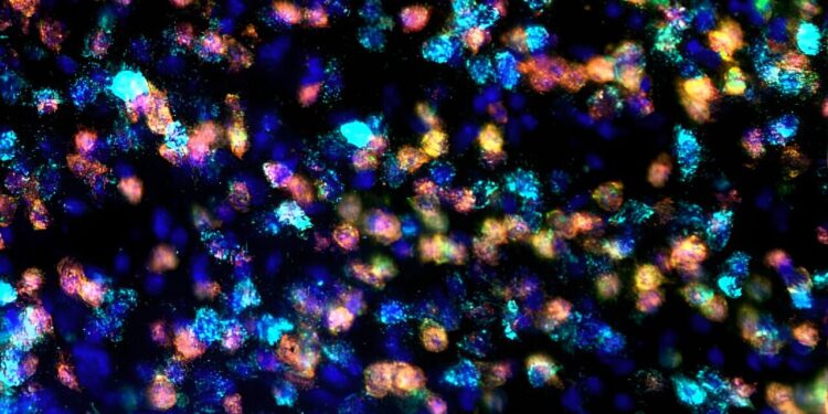 Magnetically regulated gene therapy technology provides precise control of brain circuitry