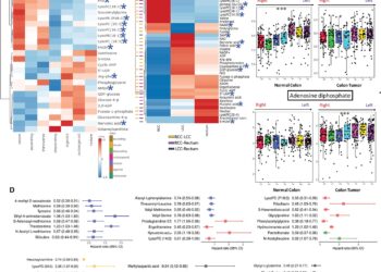 Metabolic map of colorectal cancer challenges conventional disease classifications