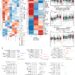 Metabolic map of colorectal cancer challenges conventional disease classifications