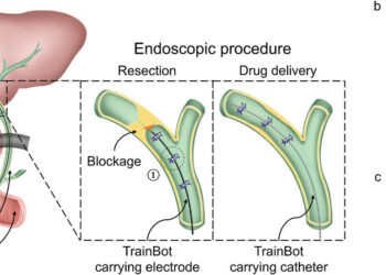Miniature robots in convoy carry endoscopic instrument for microsurgery