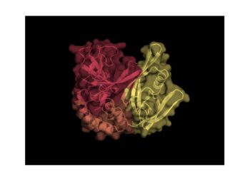 Molecular cut-and-sew process could speed up drug design