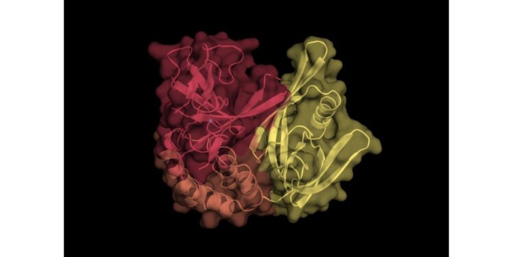 Molecular cut-and-sew process could speed up drug design