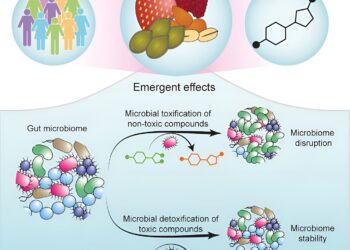 Molecular map shows the way to better food choices