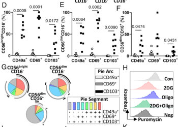 Natural killer cells that live in the lungs can respond quickly to a sugar surge, making them particularly effective.