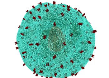 New CAR-T cells provide on-demand control for cancer treatment
