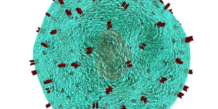 New CAR-T cells provide on-demand control for cancer treatment