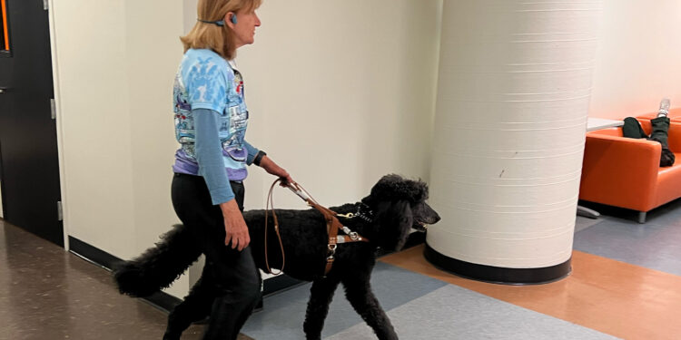 New apps help blind people navigate indoor spaces