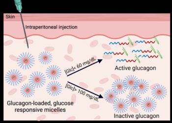 New injectable product shows promise for preventing and treating hypoglycemia