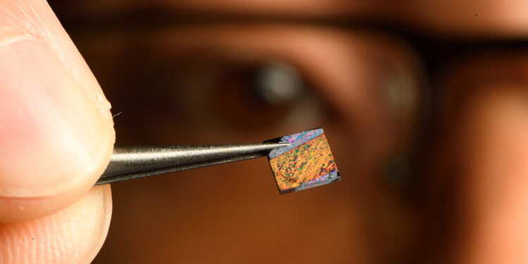 New laser light diagnostic tool quickly detects early signs of heart attack