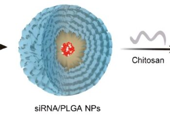 New nanoparticle therapy targets fat absorption to fight obesity