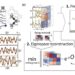 New protocols for estimating Hamiltonian parameters of a superconducting quantum processor could improve accuracy