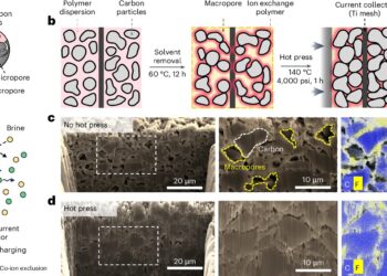 New research reveals potential of electrochemical separation for water treatment and resource extraction