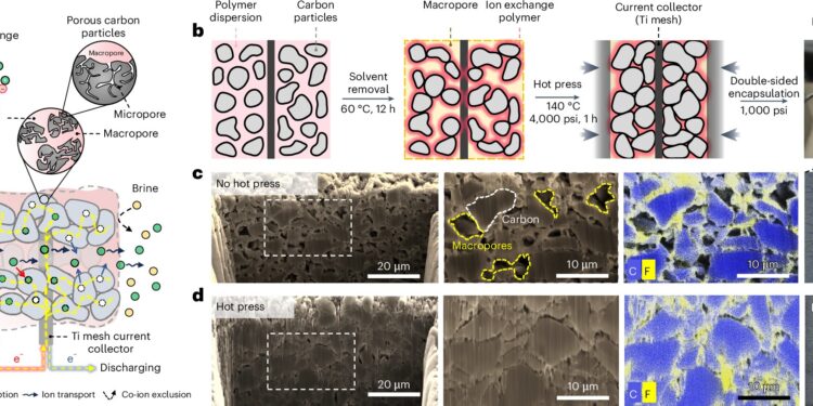New research reveals potential of electrochemical separation for water treatment and resource extraction