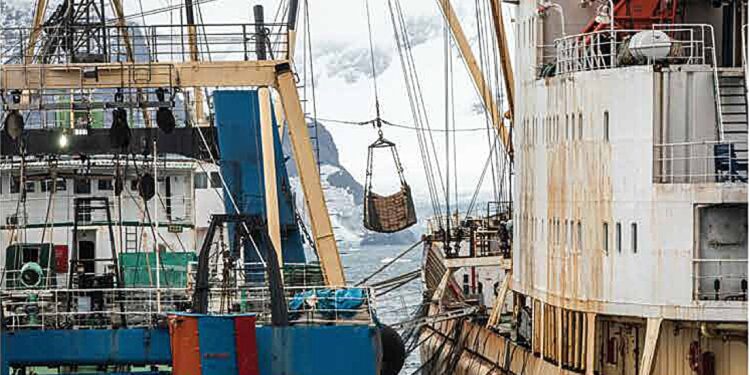 New study reveals key players in global transshipment, boosting seafood transparency