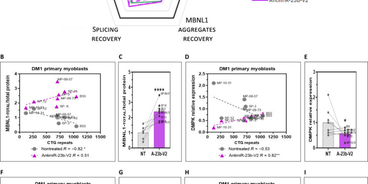 New study reveals promising therapy that blocks microRNAs to treat myotonic dystrophy type 1
