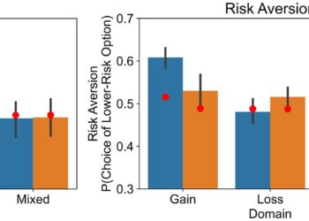 New study shows older adults’ decision-making strategies are just as complex as those of younger adults
