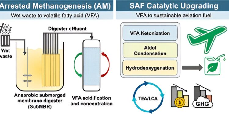 New technology converts wastewater into sustainable aviation fuel with potential 70% reduction in emissions