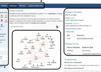 New web portal enables drug discovery and systems-level analysis of critical kinase-substrate interactions