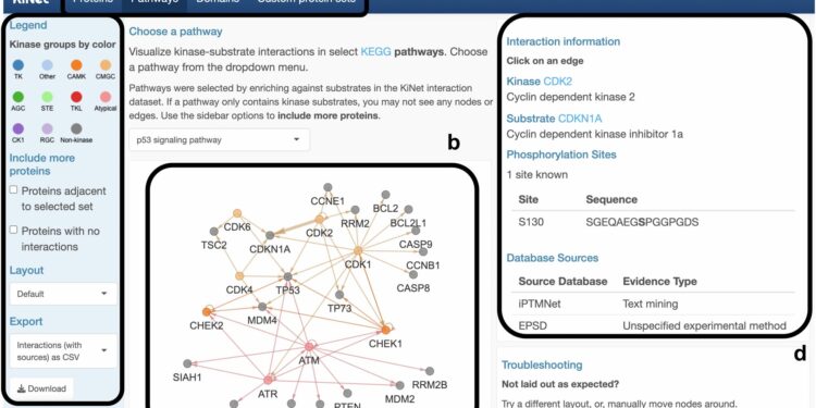 New web portal enables drug discovery and systems-level analysis of critical kinase-substrate interactions
