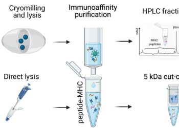Newly Discovered COVID Vaccine Targets Could Last Longer