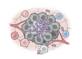 Personalized bacterial vaccine shows promise as cancer immunotherapy