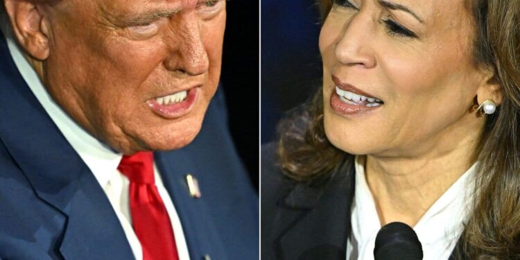 Pesky polls to evaluate Donald Trump and Kamala Harris
