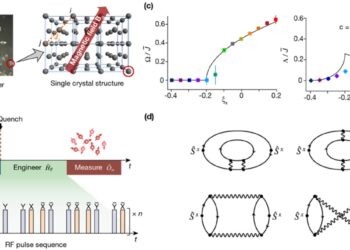 Physicists discover universal non-equilibrium quantum dynamics in randomly interacting spin models