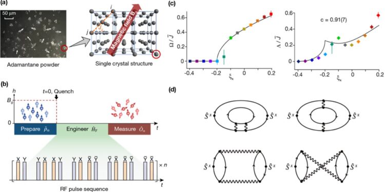 Physicists discover universal non-equilibrium quantum dynamics in randomly interacting spin models